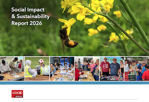 Cover of 2026 Cook Medical Social Impact & Sustainability Report with large photo of bee feeding on nectar in a cluster of yellow flowers, and a row of smaller images of employees participating in SI&S events